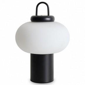 Настольная лампа декоративная Freya Take FR6175TL-L10B в Нефтекамске - neftekamsk.mebel24.online | фото 2