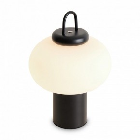 Настольная лампа декоративная Freya Take FR6175TL-L10B в Нефтекамске - neftekamsk.mebel24.online | фото 3