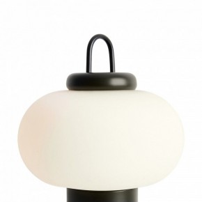 Настольная лампа декоративная Freya Take FR6175TL-L10B в Нефтекамске - neftekamsk.mebel24.online | фото 5