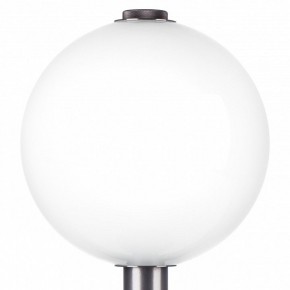 Настольная лампа декоративная Lightstar Colore 805916 в Нефтекамске - neftekamsk.mebel24.online | фото 6