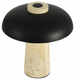 Настольная лампа декоративная ST-Luce Earthy SL1194.424.01 в Нефтекамске - neftekamsk.mebel24.online | фото 5