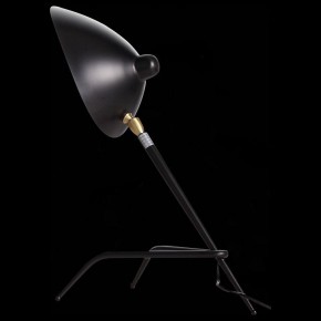 Настольная лампа декоративная ST-Luce Spruzzo SL305.404.01 в Нефтекамске - neftekamsk.mebel24.online | фото 2