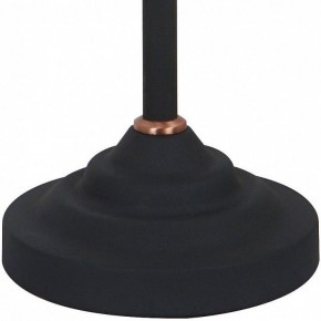 Настольная лампа офисная Arte Lamp Braccio A2054LT-1BK в Нефтекамске - neftekamsk.mebel24.online | фото 4