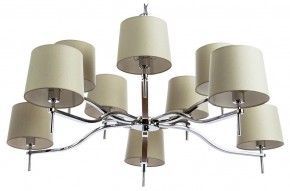 Подвесная люстра Divinare Soprano 1341/02 LM-10 в Нефтекамске - neftekamsk.mebel24.online | фото
