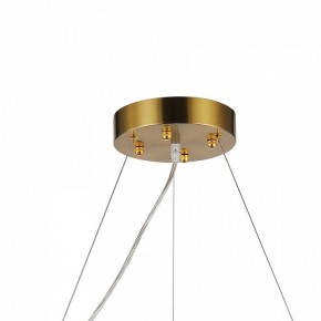 Подвесная люстра Favourite Magnitudo 2206-12P в Нефтекамске - neftekamsk.mebel24.online | фото 7