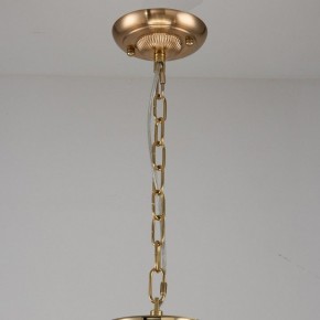 Подвесная люстра Favourite Rocca 2689-9P в Нефтекамске - neftekamsk.mebel24.online | фото 2