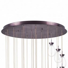 Подвесная люстра Lightstar Colore 805289 в Нефтекамске - neftekamsk.mebel24.online | фото 6