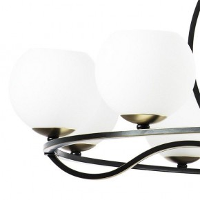 Подвесная люстра Lightstar Enna 762117 в Нефтекамске - neftekamsk.mebel24.online | фото 4