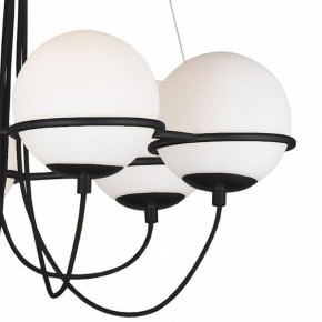 Подвесная люстра Lightstar Globo 803267 в Нефтекамске - neftekamsk.mebel24.online | фото 5