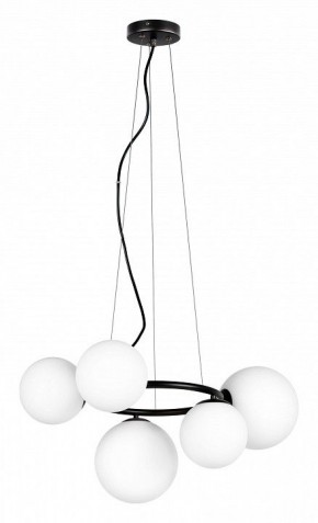 Подвесная люстра Lightstar Globo 815057 в Нефтекамске - neftekamsk.mebel24.online | фото 2