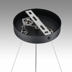 Подвесная люстра Lumion Luazana 8242/6 в Нефтекамске - neftekamsk.mebel24.online | фото 7