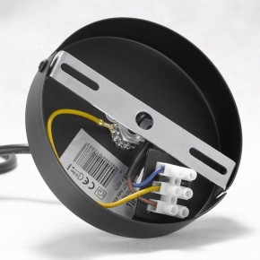 Подвесная люстра Lussole Kenner GRLSP-8271 в Нефтекамске - neftekamsk.mebel24.online | фото 7