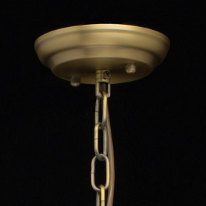 Подвесная люстра MW-Light Альгеро 3 285010703 в Нефтекамске - neftekamsk.mebel24.online | фото 14