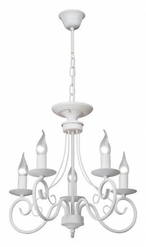 Подвесная люстра Vitaluce V3814 V3814-0/5 в Нефтекамске - neftekamsk.mebel24.online | фото 2