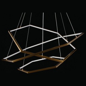 Подвесной светильник Aployt Polunia APL.021.03.136 в Нефтекамске - neftekamsk.mebel24.online | фото 5