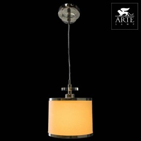 Подвесной светильник Arte Lamp Furore A3990SP-1CC в Нефтекамске - neftekamsk.mebel24.online | фото 3