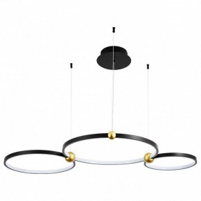 Подвесной светильник Divinare Amadeo 1123/04 SP-75 в Нефтекамске - neftekamsk.mebel24.online | фото