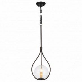 Подвесной светильник Favourite Kessel 1905-1P в Нефтекамске - neftekamsk.mebel24.online | фото 2