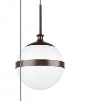 Подвесной светильник Lightstar Globo 813137 в Нефтекамске - neftekamsk.mebel24.online | фото 5