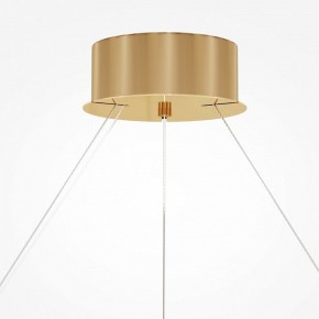 Подвесной светильник Maytoni Castello MOD336PL-L170G3K в Нефтекамске - neftekamsk.mebel24.online | фото 4