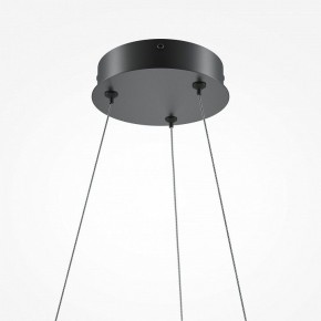 Подвесной светильник Maytoni Curve MOD241PL-L60BK в Нефтекамске - neftekamsk.mebel24.online | фото 6
