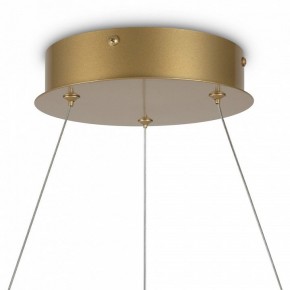 Подвесной светильник Maytoni Halo MOD100PL-L88BSK1 в Нефтекамске - neftekamsk.mebel24.online | фото 6