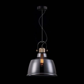 Подвесной светильник Maytoni Irving T163PL-01C в Нефтекамске - neftekamsk.mebel24.online | фото 4