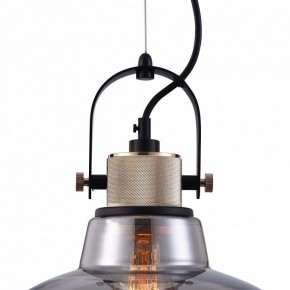 Подвесной светильник Maytoni Irving T163PL-01C в Нефтекамске - neftekamsk.mebel24.online | фото 9