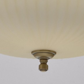Подвесной светильник MW-Light Афродита 1 317010504 в Нефтекамске - neftekamsk.mebel24.online | фото 9