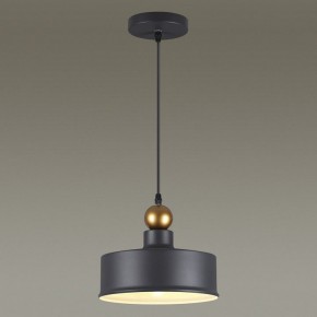 Подвесной светильник Odeon Light Bolli 4088/1 в Нефтекамске - neftekamsk.mebel24.online | фото 4