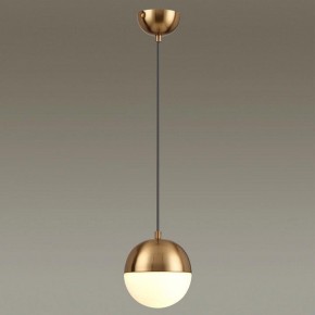 Подвесной светильник Odeon Light Pinga 4960/1 в Нефтекамске - neftekamsk.mebel24.online | фото 2