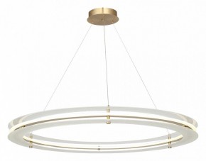 Подвесной светильник ST-Luce FAGY SL6245.213.01 в Нефтекамске - neftekamsk.mebel24.online | фото 4
