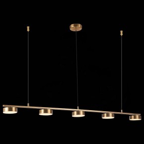 Подвесной светильник ST-Luce Pances SL6000.303.05 в Нефтекамске - neftekamsk.mebel24.online | фото 5
