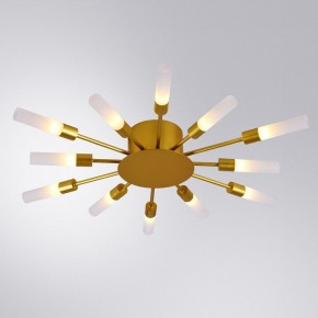 Потолочная люстра Arte Lamp Maple A1276PL-12GO в Нефтекамске - neftekamsk.mebel24.online | фото 1