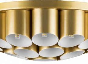 Потолочная люстра Lightstar Siena 720222 в Нефтекамске - neftekamsk.mebel24.online | фото 3