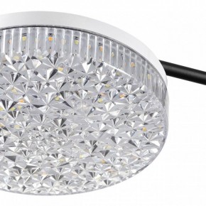 Потолочная люстра Lumion Didana 8236/4CL в Нефтекамске - neftekamsk.mebel24.online | фото 10