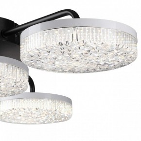 Потолочная люстра Lumion Didana 8236/4CL в Нефтекамске - neftekamsk.mebel24.online | фото 7
