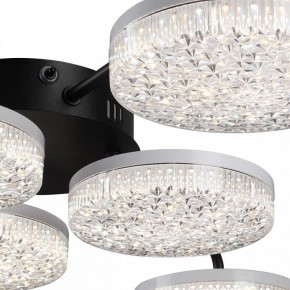Потолочная люстра Lumion Didana 8236/6CL в Нефтекамске - neftekamsk.mebel24.online | фото 9