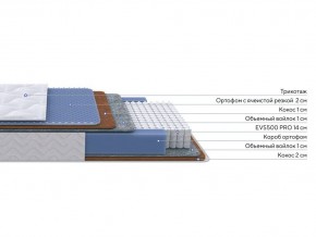 PROxSON Матрас Active Duo M/F (Ткань Трикотаж Эко) 160x200 в Нефтекамске - neftekamsk.mebel24.online | фото 2