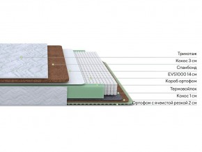 PROxSON Матрас Green Duo M/F (Tricotage Dream) 140x195 в Нефтекамске - neftekamsk.mebel24.online | фото 2