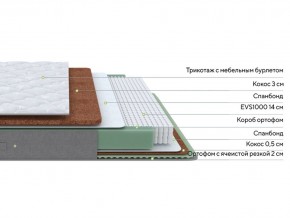 PROxSON Матрас Lux Duo M/F (Non-Stress) 120x200 в Нефтекамске - neftekamsk.mebel24.online | фото 3