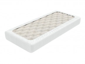 PROxSON Защитный чехол Aqua Save Plush S (Ткань влагостойкая Coral Fleece) 200x220 в Нефтекамске - neftekamsk.mebel24.online | фото 2