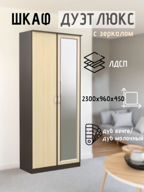 Шкаф 2-х створчатый Дуэт Люкс с зеркалом в Нефтекамске - neftekamsk.mebel24.online | фото