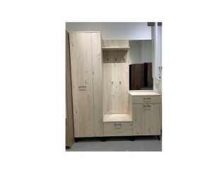 Шкаф для одежды 2-х дверный София 1 в Нефтекамске - neftekamsk.mebel24.online | фото 6