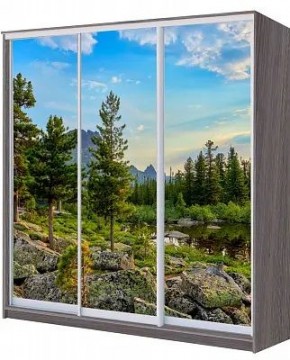 Шкаф-купе ХИТ 22-4-20/2-777 ПРИРОДА в Нефтекамске - neftekamsk.mebel24.online | фото