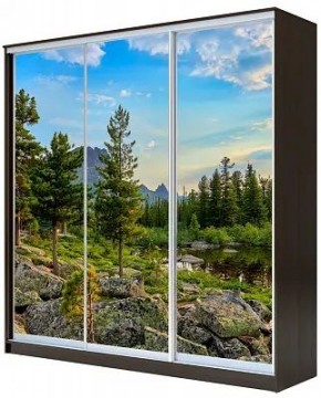 Шкаф-купе ХИТ 23-4-18/2-777 ПРИРОДА в Нефтекамске - neftekamsk.mebel24.online | фото