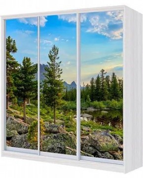 Шкаф-купе ХИТ 23-4-20/2-777 ПРИРОДА в Нефтекамске - neftekamsk.mebel24.online | фото