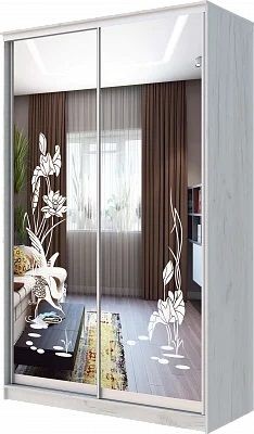 Шкаф-купе ХИТ 24-14-66 ЦАПЛИ в Нефтекамске - neftekamsk.mebel24.online | фото