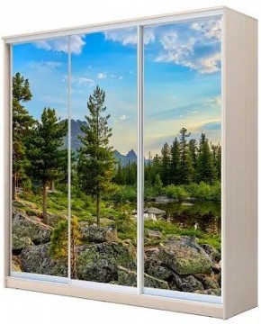 Шкаф-купе ХИТ 24-4-20-777 ПРИРОДА в Нефтекамске - neftekamsk.mebel24.online | фото