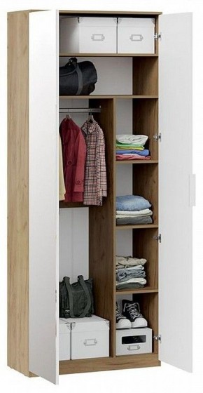 Шкаф платяной Хилтон Исп. 2.1 в Нефтекамске - neftekamsk.mebel24.online | фото 4